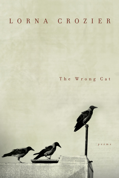 Cover image for book The Wrong Cat