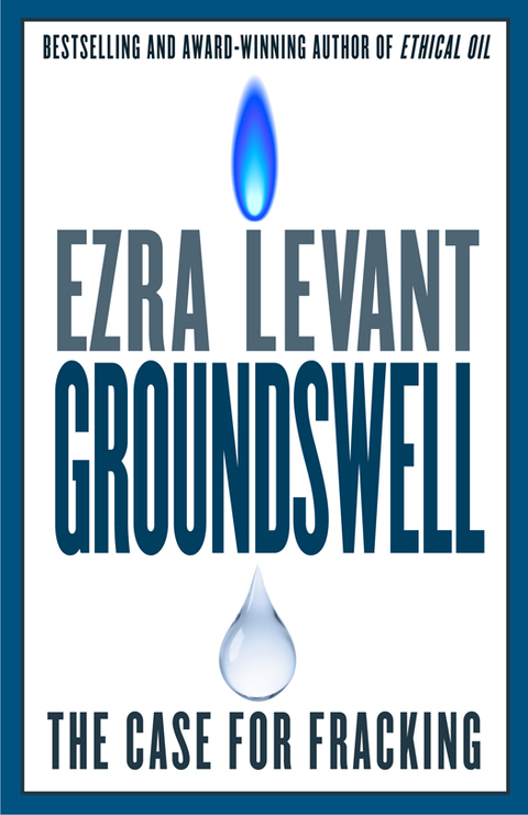 Cover image for book Groundswell