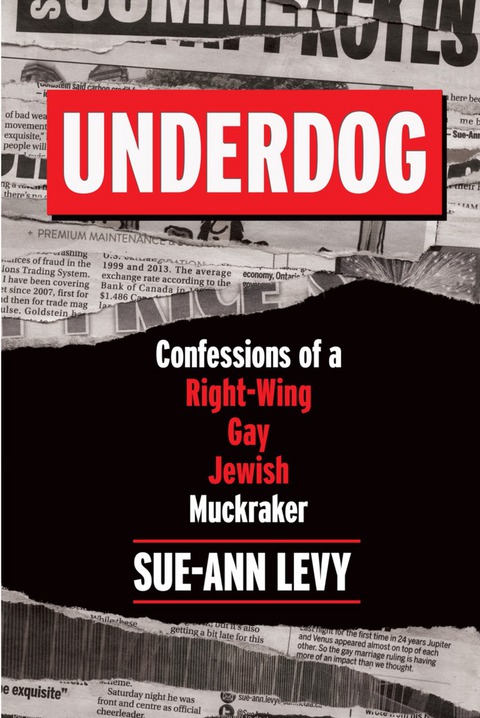 Cover image for book Underdog