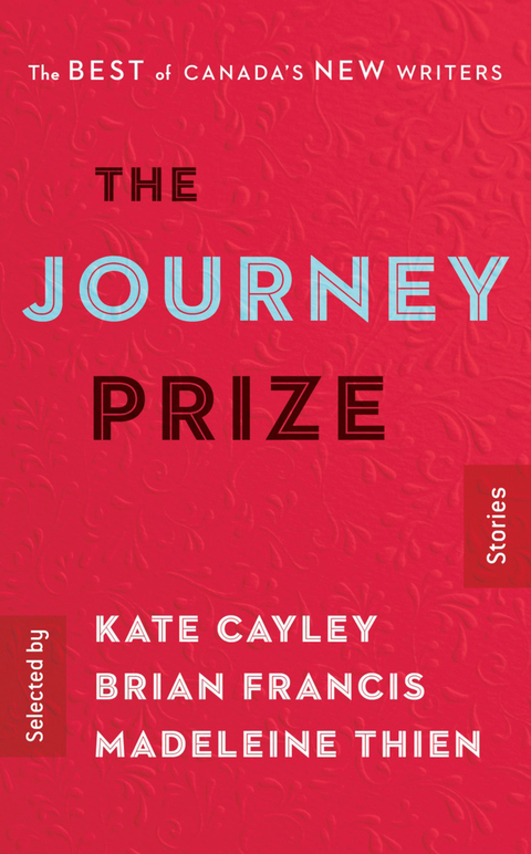 Cover image for book The Journey Prize Stories 28