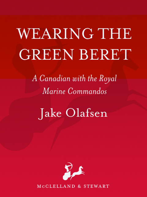 Cover image for book Wearing the Green Beret