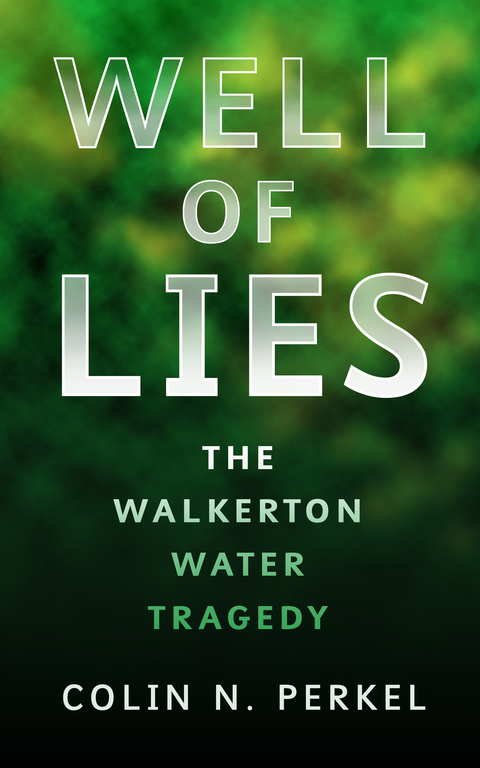 Cover image for book Well of Lies