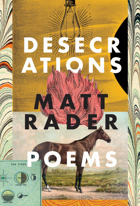 Cover image for book Desecrations