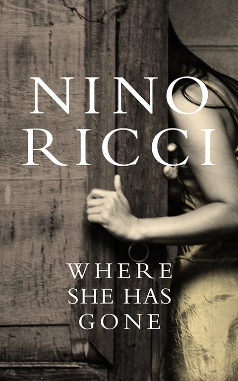 Cover image for book Where She Has Gone