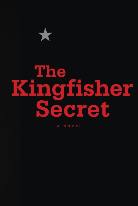 Cover image for book The Kingfisher Secret