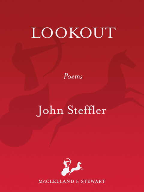 Cover image for book Lookout