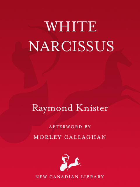 Cover image for book White Narcissus