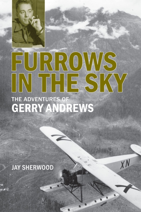 Cover image for book Furrows in the Sky