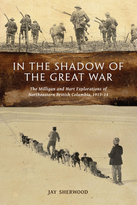 Cover image for book In the Shadow of the Great War