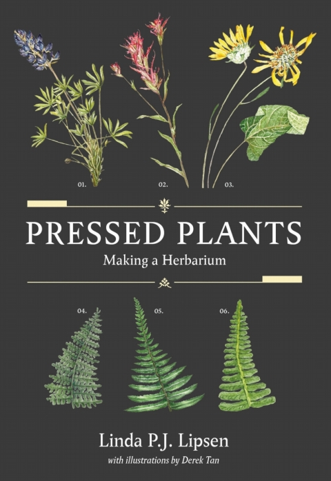 Cover image for book Pressed Plants