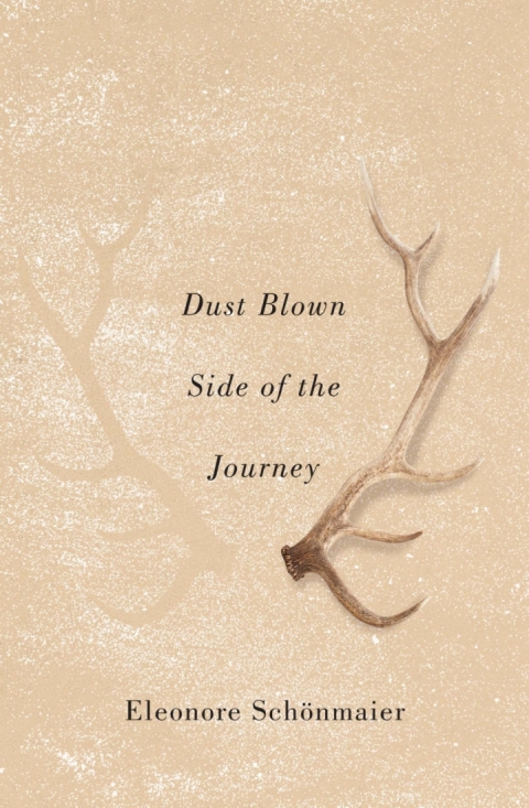 Cover image for book Dust Blown Side of the Journey