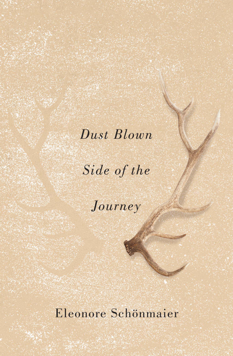 Cover image for book Dust Blown Side of the Journey