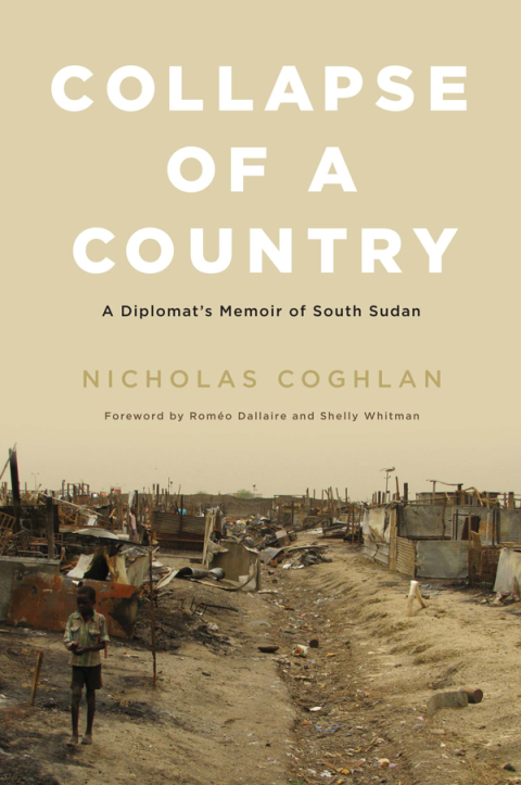 Cover image for book Collapse of a Country