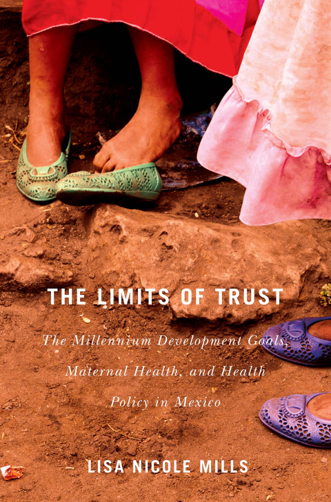 Cover image for book The Limits of Trust