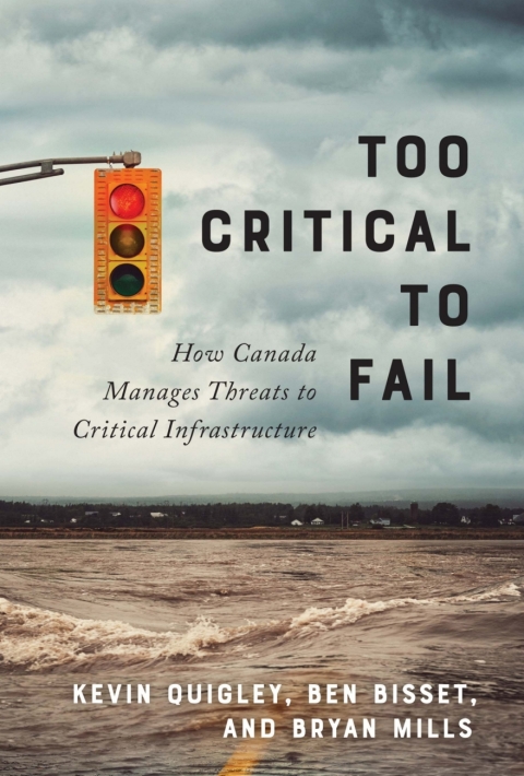 Cover image for book Too Critical to Fail