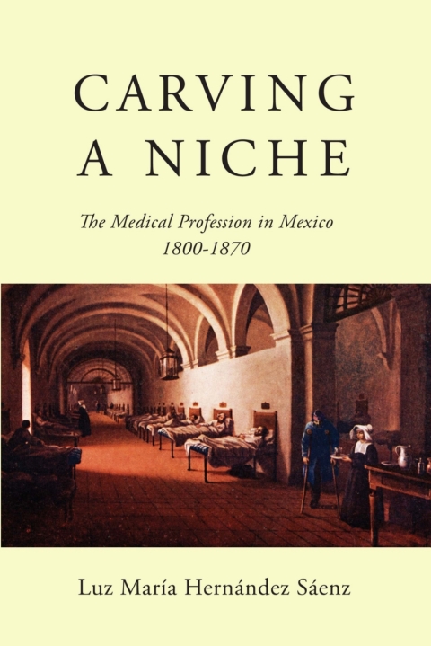 Cover image for book Carving a Niche