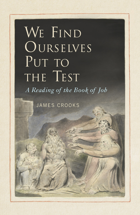 Cover image for book We Find Ourselves Put to the Test