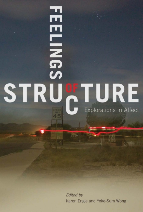 Cover image for book Feelings of Structure