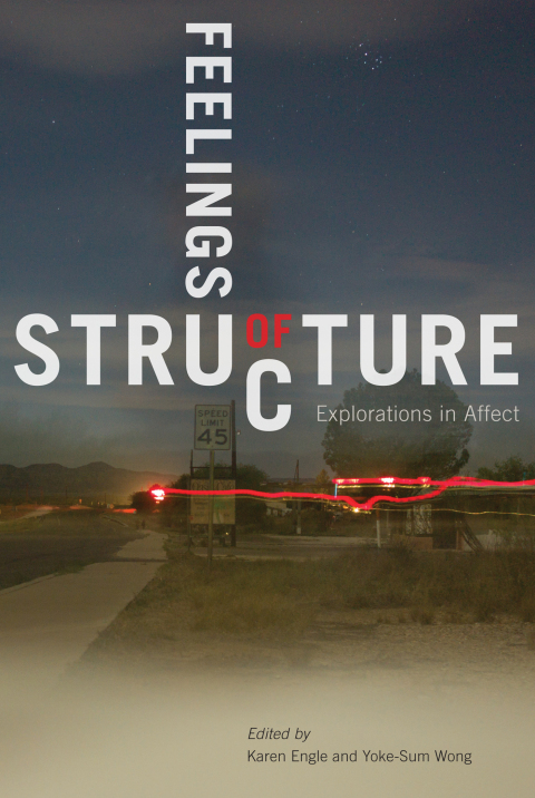 Cover image for book Feelings of Structure