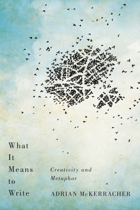 Cover image for book What It Means to Write