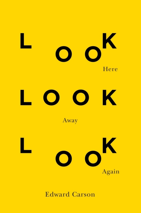 Cover image for book Look Here Look Away Look Again