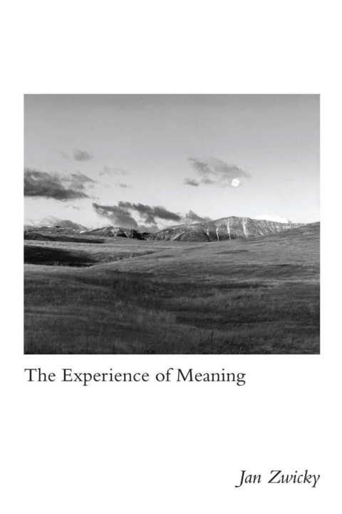 Cover image for book The Experience of Meaning
