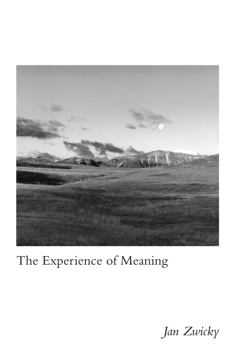 The Experience of Meaning 