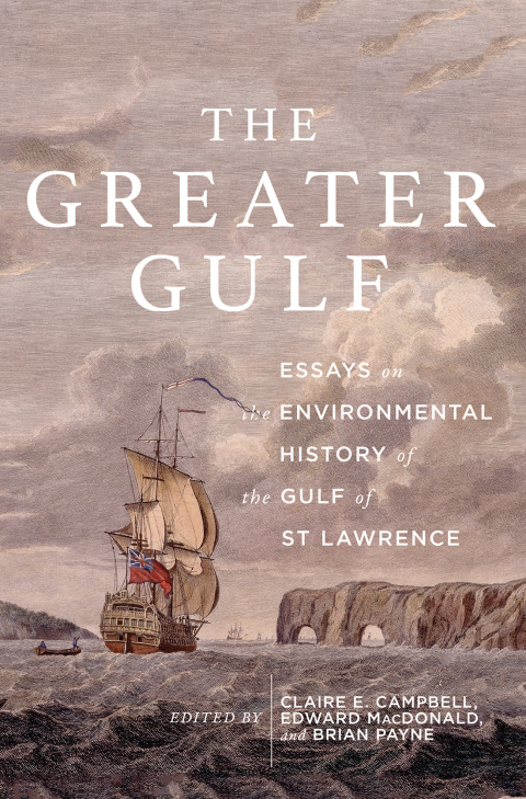 Cover image for book The Greater Gulf