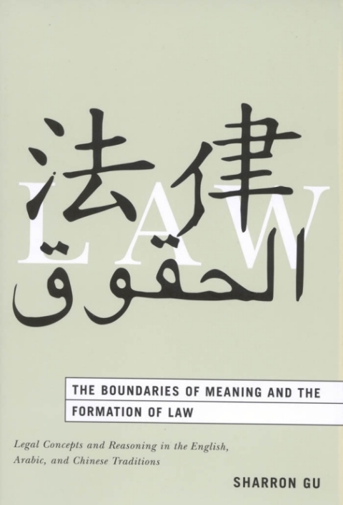 Cover image for book The Boundaries of Meaning and the Formation of Law