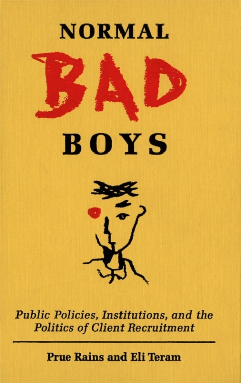 Cover image for book Normal Bad Boys
