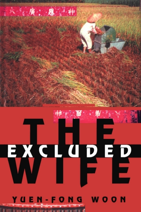 Cover image for book Excluded Wife