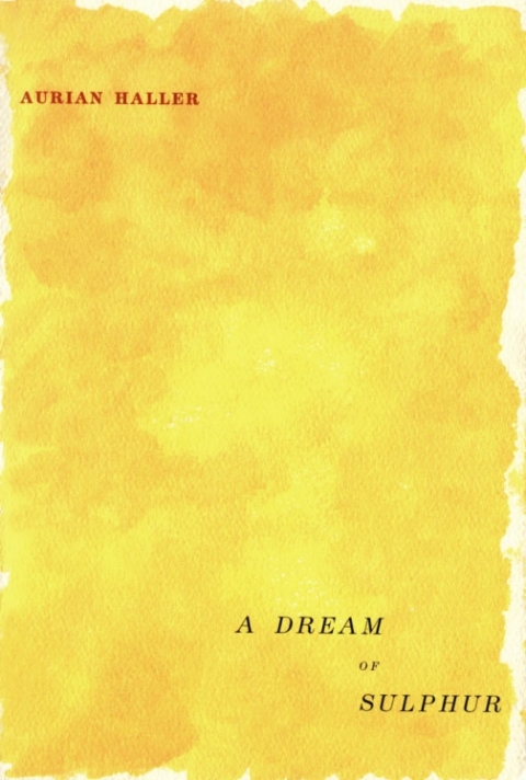 Cover image for book A Dream of Sulphur