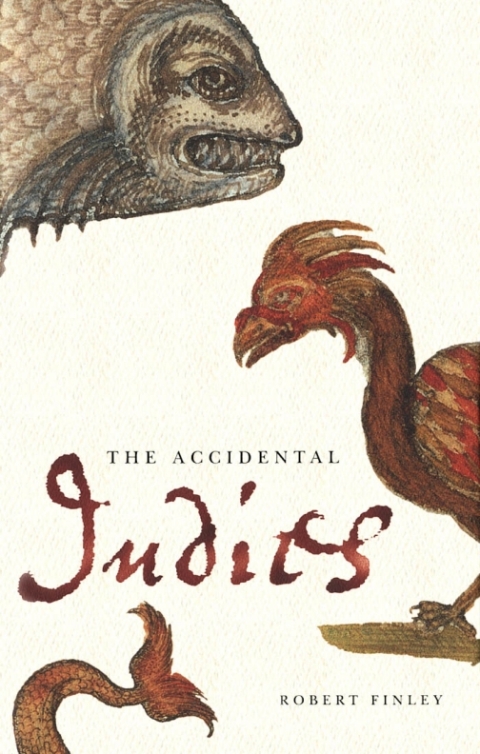 Cover image for book Accidental Indies