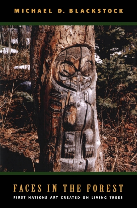 Cover image for book Faces in the Forest