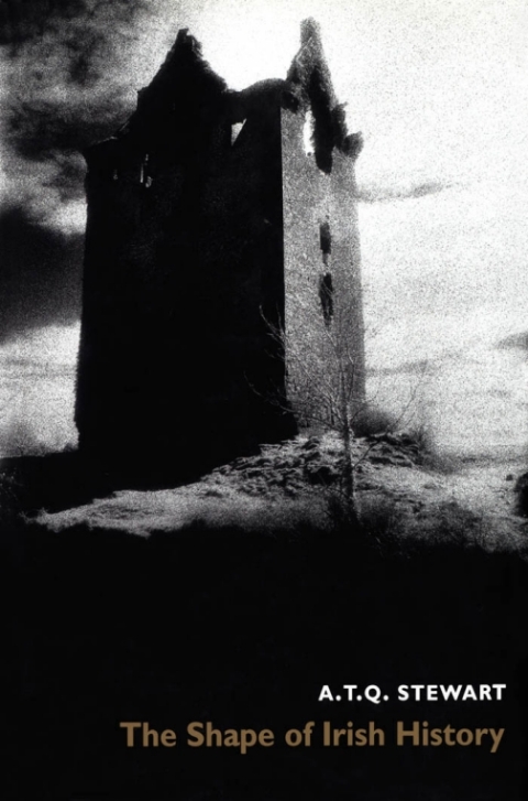 Cover image for book The Shape of Irish History