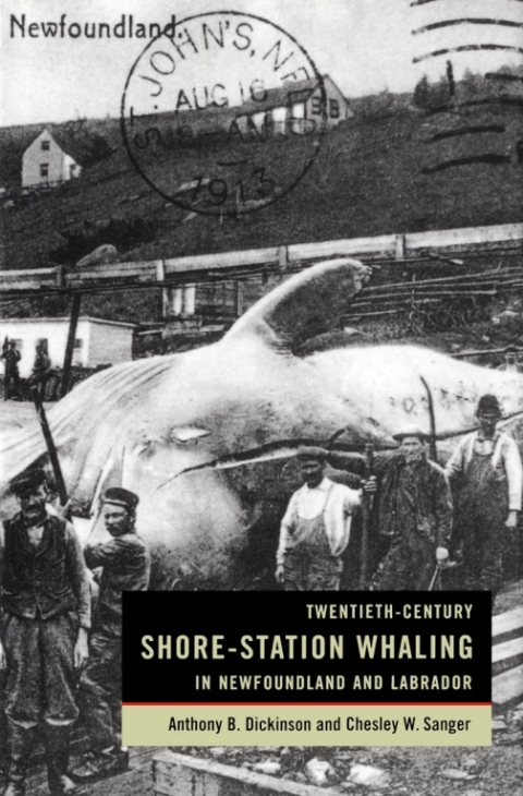 Cover image for book Twentieth-Century Shore-Station Whaling in Newfoundland and Labrador