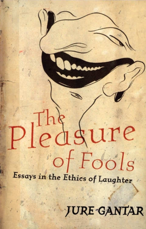 Cover image for book Pleasure of Fools