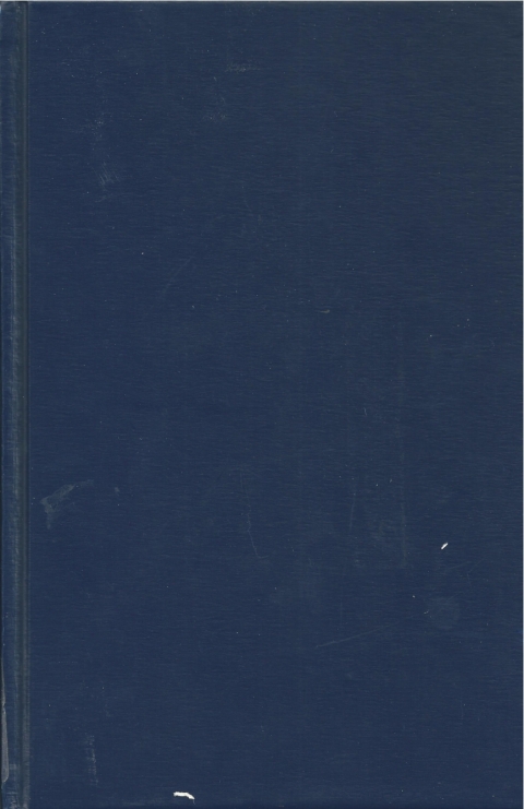 Cover image for book Mephibosheth Stepsure Letters