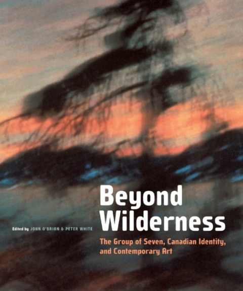 Cover image for book Beyond Wilderness