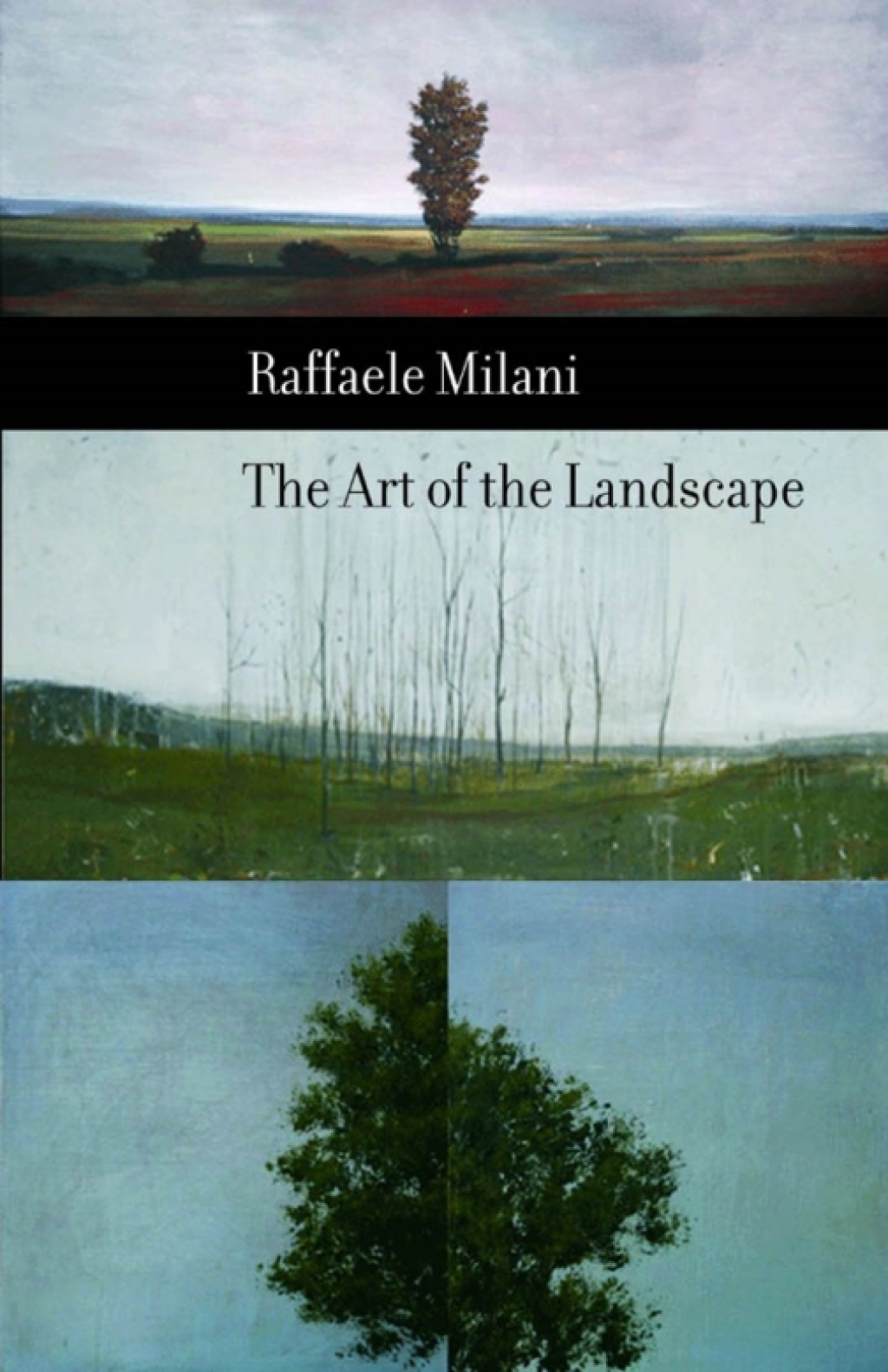 Art of the Landscape (eBook) - Raffaele Milani,