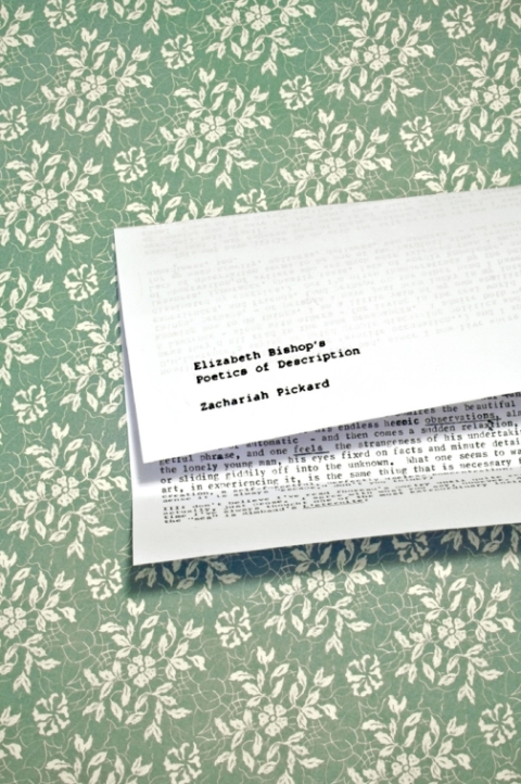 Cover image for book Elizabeth Bishop's Poetics of Description