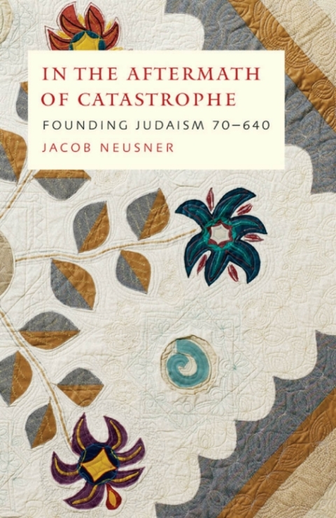 Cover image for book In the Aftermath of Catastrophe