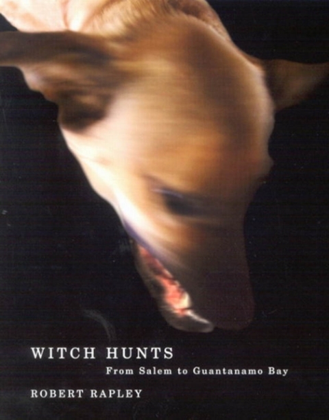 Cover image for book Witch Hunts