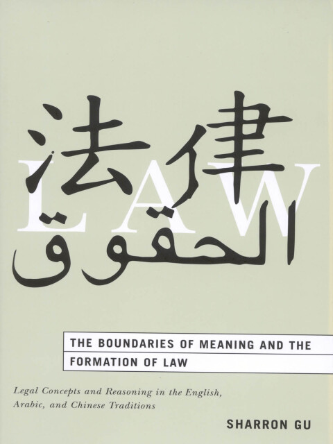 Cover image for book The Boundaries of Meaning and the Formation of Law