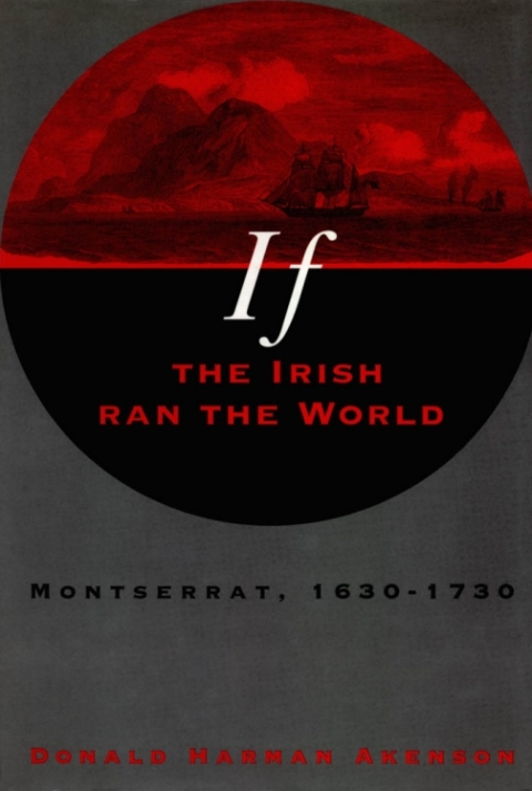 Cover image for book If the Irish Ran the World