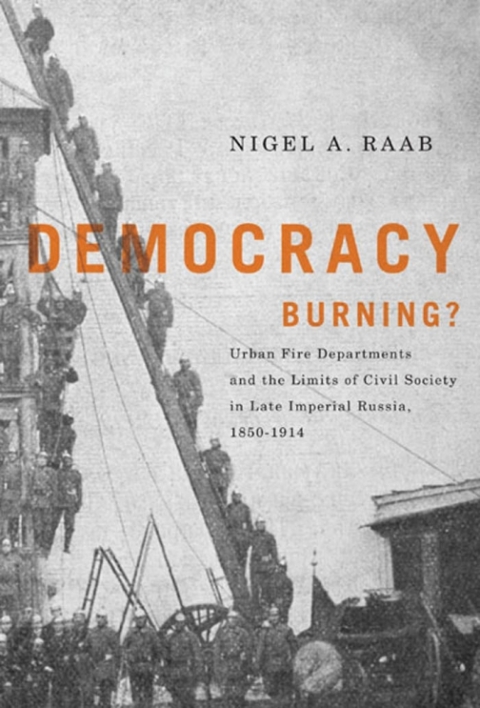 Cover image for book Democracy Burning?