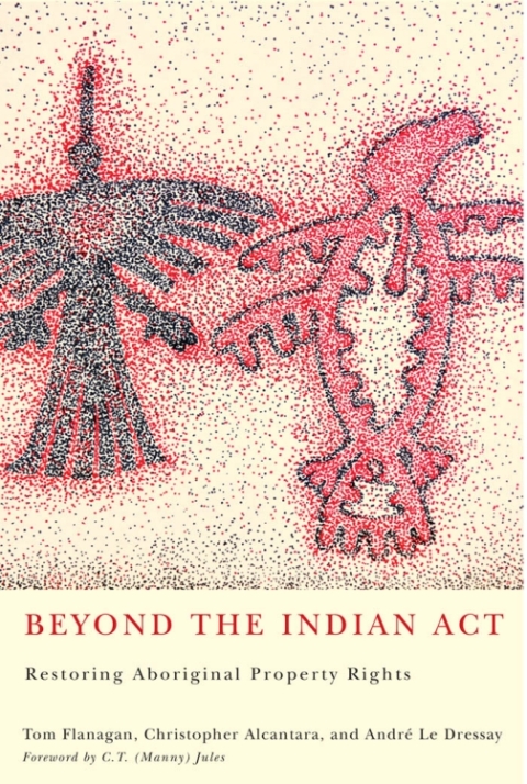 Cover image for book Beyond the Indian Act