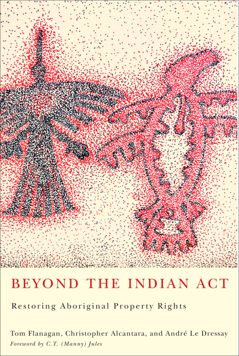 Cover image for book Beyond the Indian Act