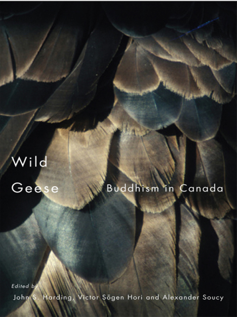 Cover image for book Wild Geese