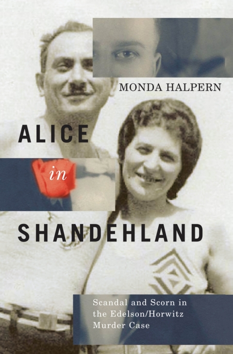 Cover image for book Alice in Shandehland